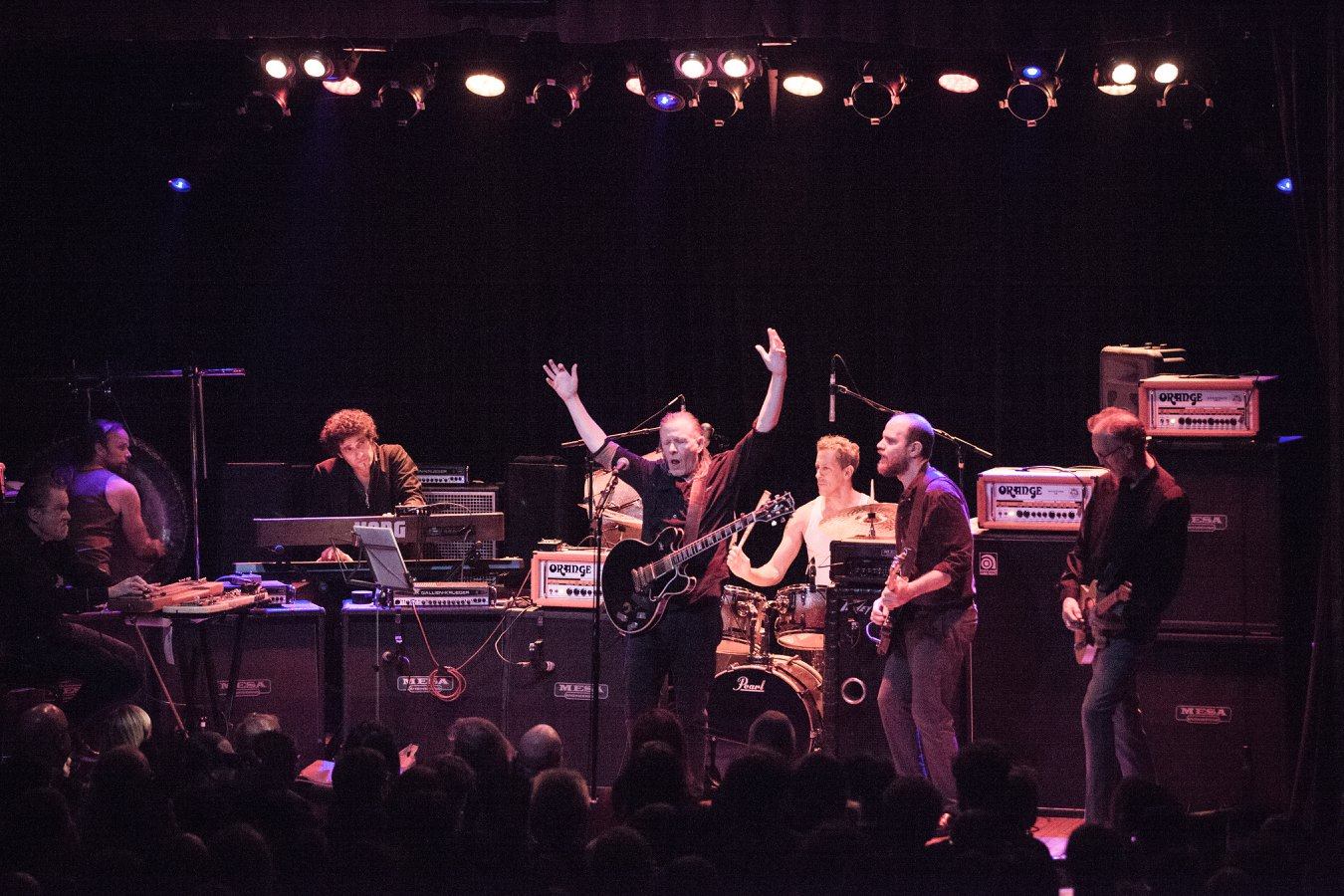 Swans
